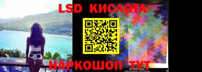 бошки Кингисепп