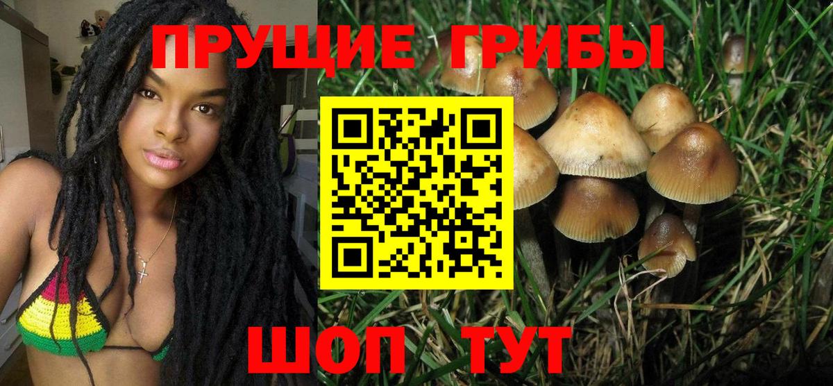 Краснодар  Галлюциногенные грибы MAGIC MUSHROOMS  Вход с VPN 