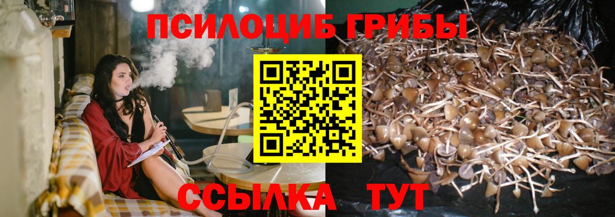 Псилоцибиновые грибы прущие грибы Краснодар